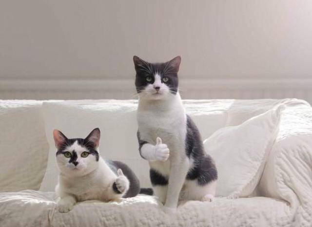 나는 김인성의 예민미를 사랑해 | 인스티즈