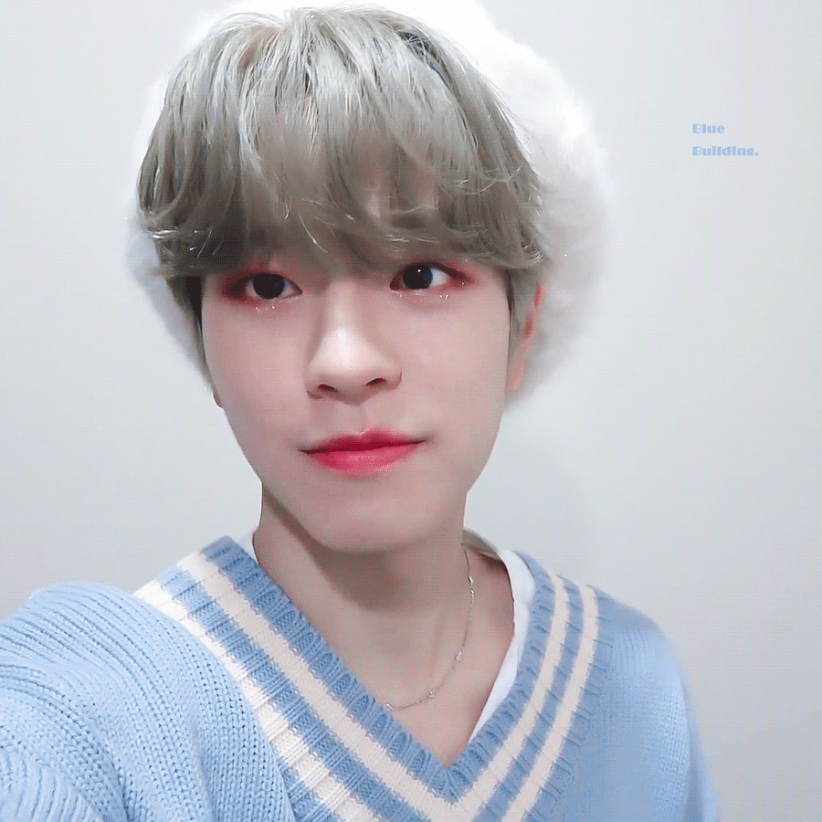 나 약간 댕댕이상 좋아하나 봐 | 인스티즈