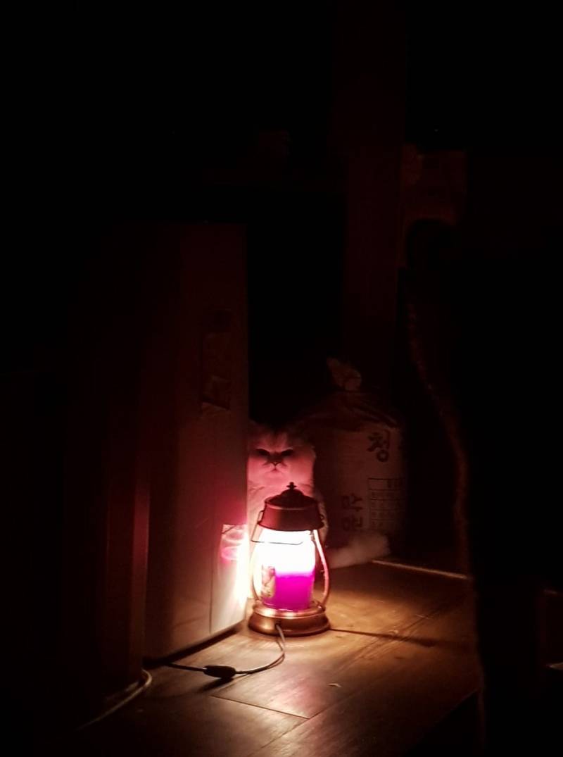 익인이들아 소액결제 무서운것이여..기억못해서...대리점찾아갔시다🤦🏻‍♀️ | 인스티즈