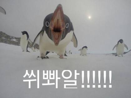 회사 땜시 분노가득한 내 인별 스토리 짤들 볼래? | 인스티즈