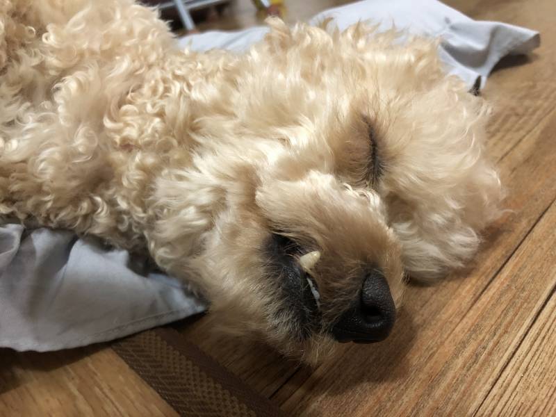 잘잔다 | 인스티즈