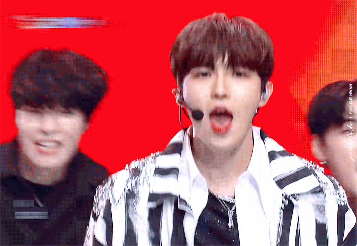 와 그럼 나도 완식 셋 간다 | 인스티즈