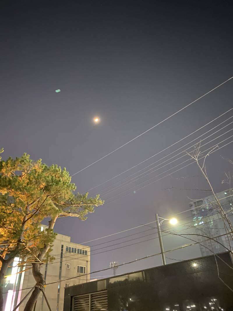 아이폰 11pro 빛번짐 심한거야?? | 인스티즈