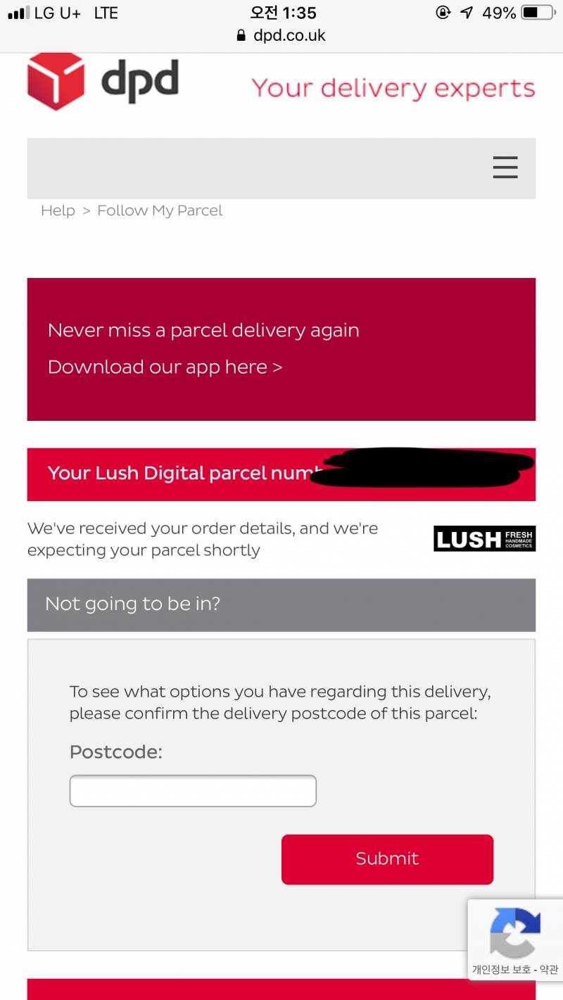 영어 좀 하는 사람들 퓨ㅠㅠ해석 도와주ㅜ | 인스티즈