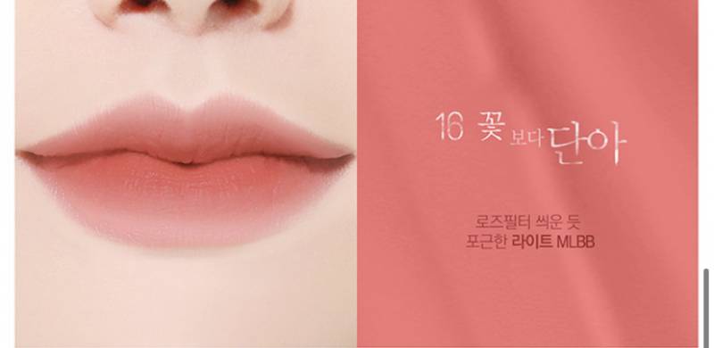 가을 뮤트 소프트 립 골라주라! | 인스티즈
