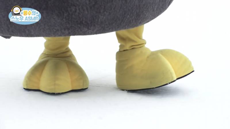 울 펭수 왜케 꼬질이 돼써 | 인스티즈