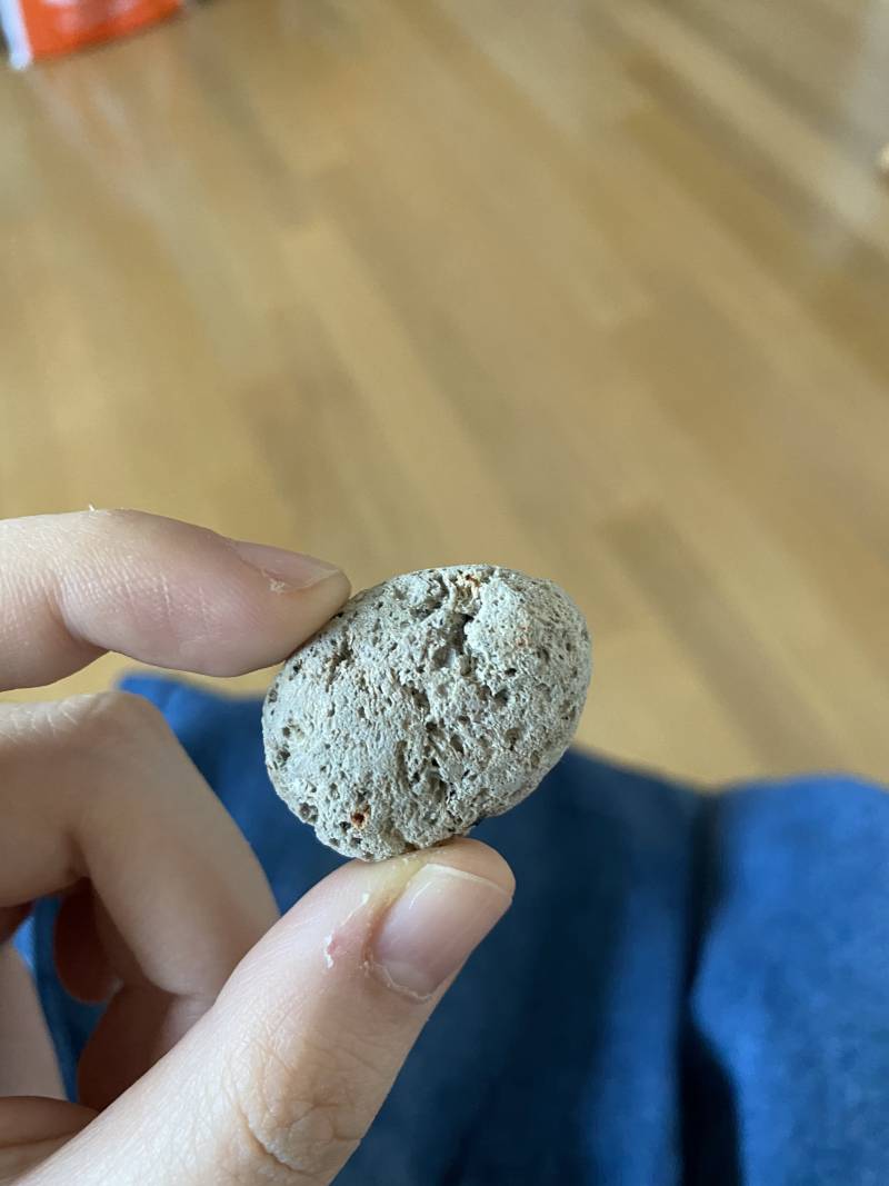 엥 나 고고싱에서 바지샀는데 주머니에서 돌 나왔어 | 인스티즈