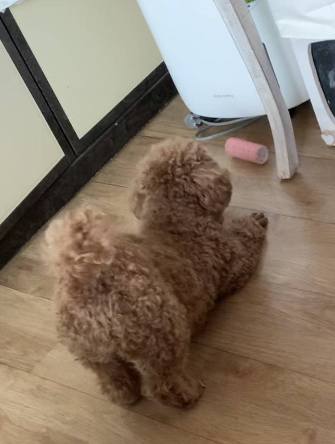 울 아들래미 요염한 자세 좀 봐(4040) | 인스티즈