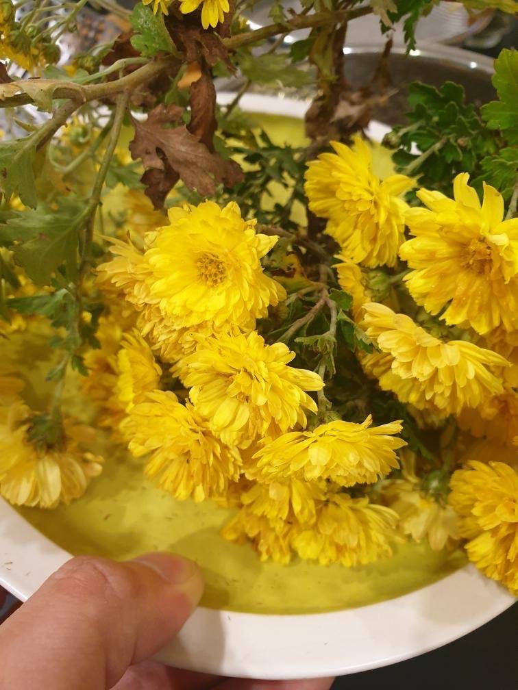 남사친이 마당에서 국화꽃을 따다 꽃차 만들어줬어 4040 | 인스티즈