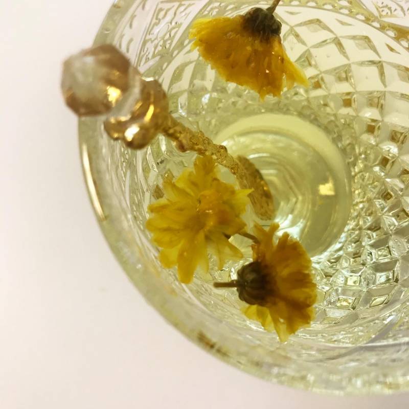 남사친이 마당에서 국화꽃을 따다 꽃차 만들어줬어 4040 | 인스티즈