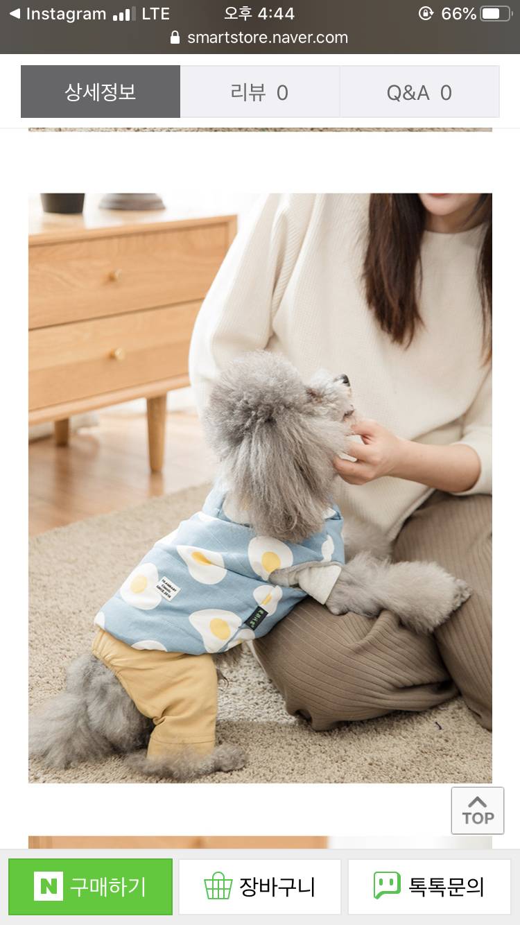 강아지 옷 무슨 색 살까?? 112233 | 인스티즈