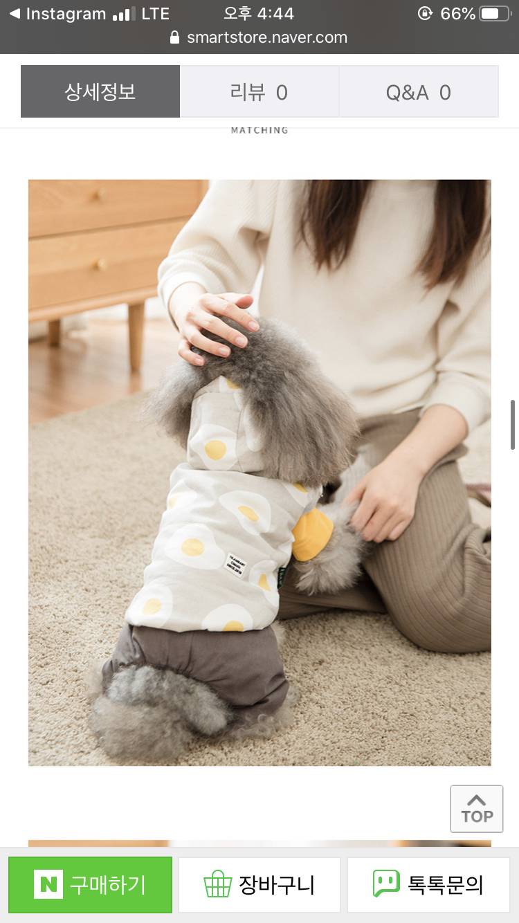 강아지 옷 무슨 색 살까?? 112233 | 인스티즈