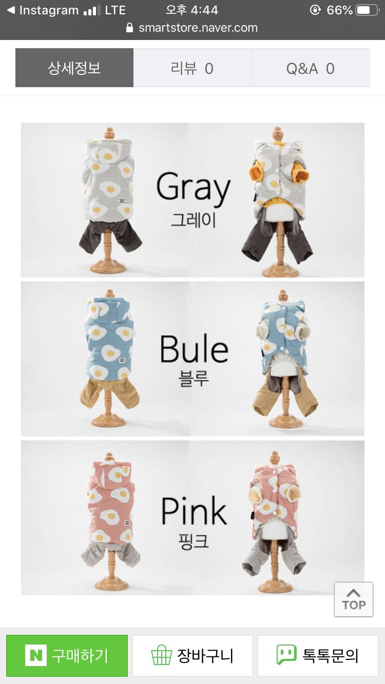 강아지 옷 무슨 색 살까?? 112233 | 인스티즈