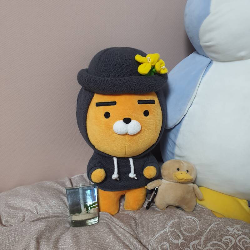 제주도에서 데려온 액희 ❤ | 인스티즈