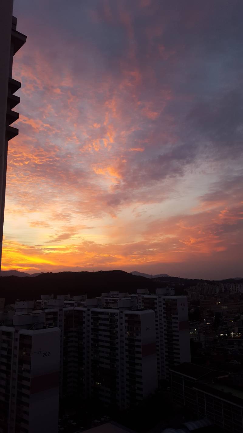 안자는 사람만 볼 수 있는 우리집 풍경 | 인스티즈