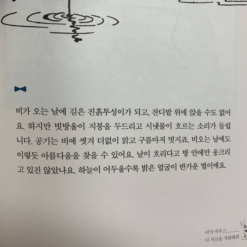 말이 너무 예뻐 | 인스티즈