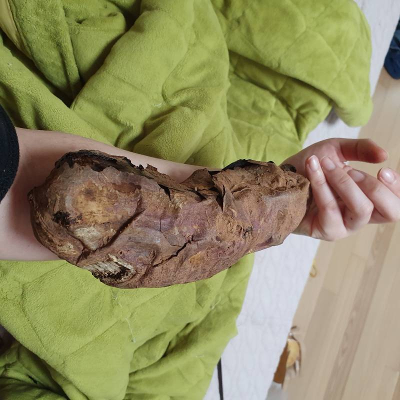 와 카페에서 군고구마 시켰는데 크기 봐 | 인스티즈