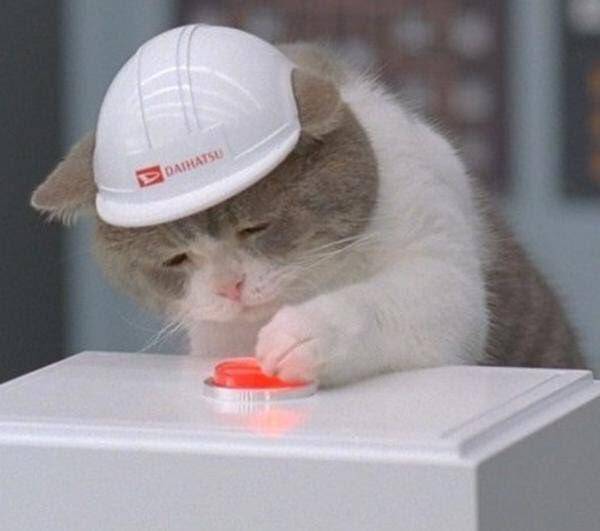 다음생에 예쁜여자/잘생긴남자 뭐로 태어나고싶어? | 인스티즈