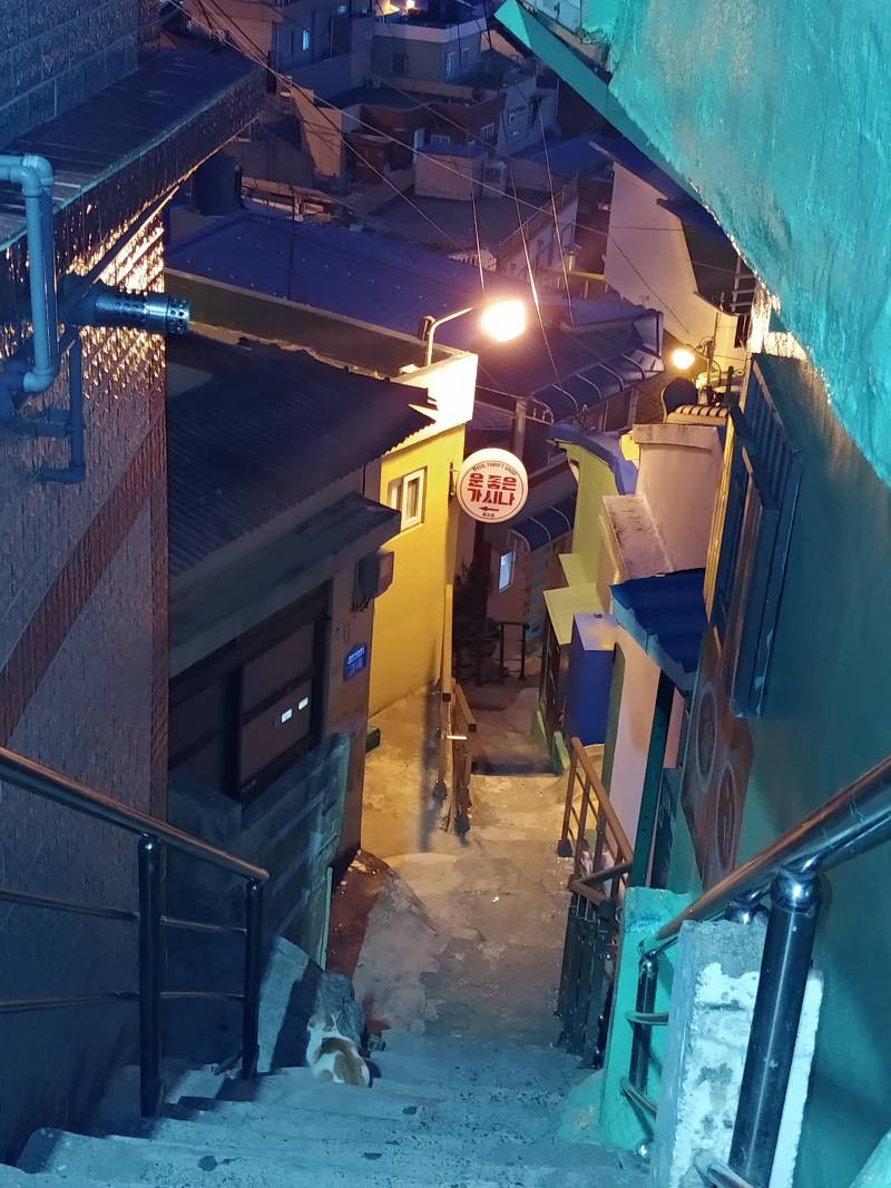 부산은 경사진 곳이 많아서 밤에 야경이 예뻐 | 인스티즈