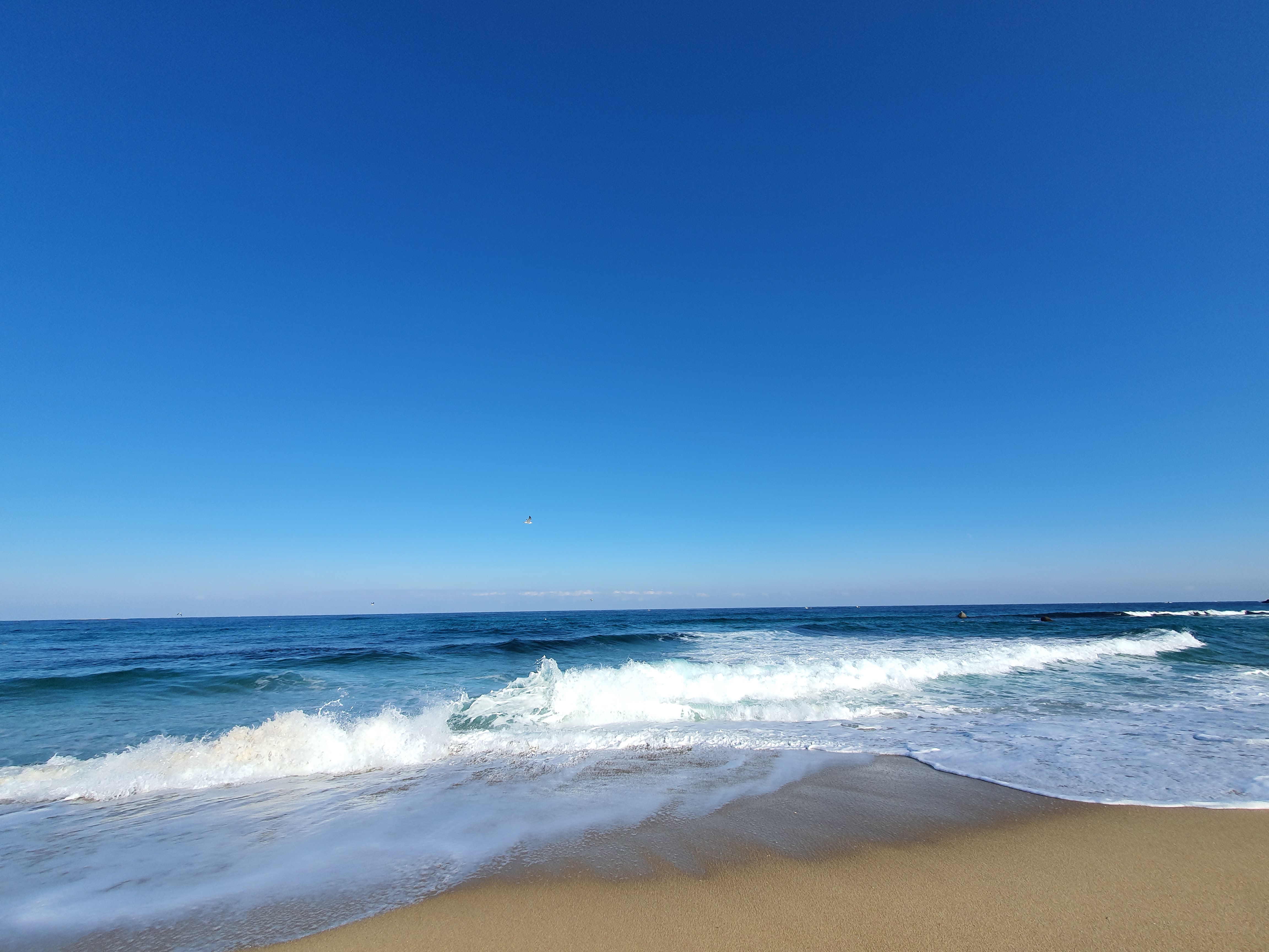 바다왔다🌊 | 인스티즈