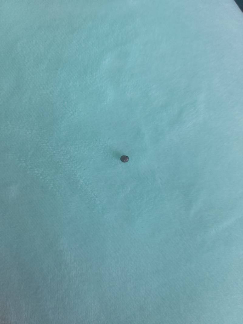 와씨..등에서 대박적인거 빾다...ㅎㅇㅈㅇ | 인스티즈