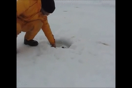 익들아 이 글 지발제발 눌러봐 후회 안 할 거야 너무 귀여워... | 인스티즈