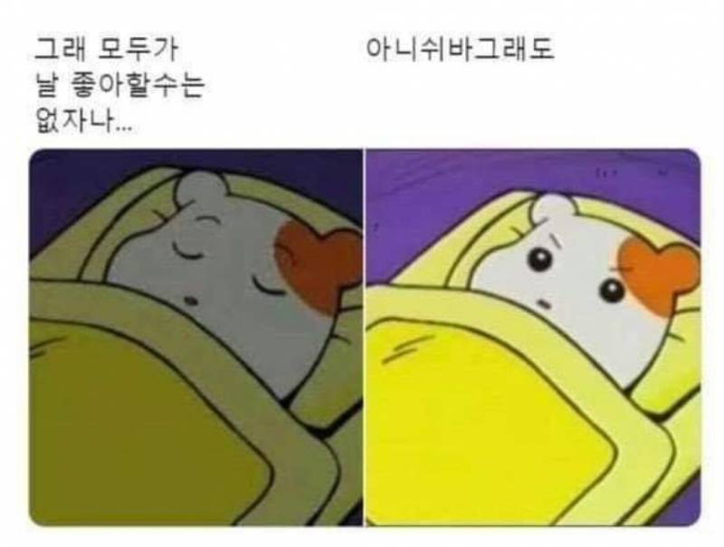 반숙을 좋아하지만 흰자는 다 익어야하는 사람들 모임입니다 | 인스티즈