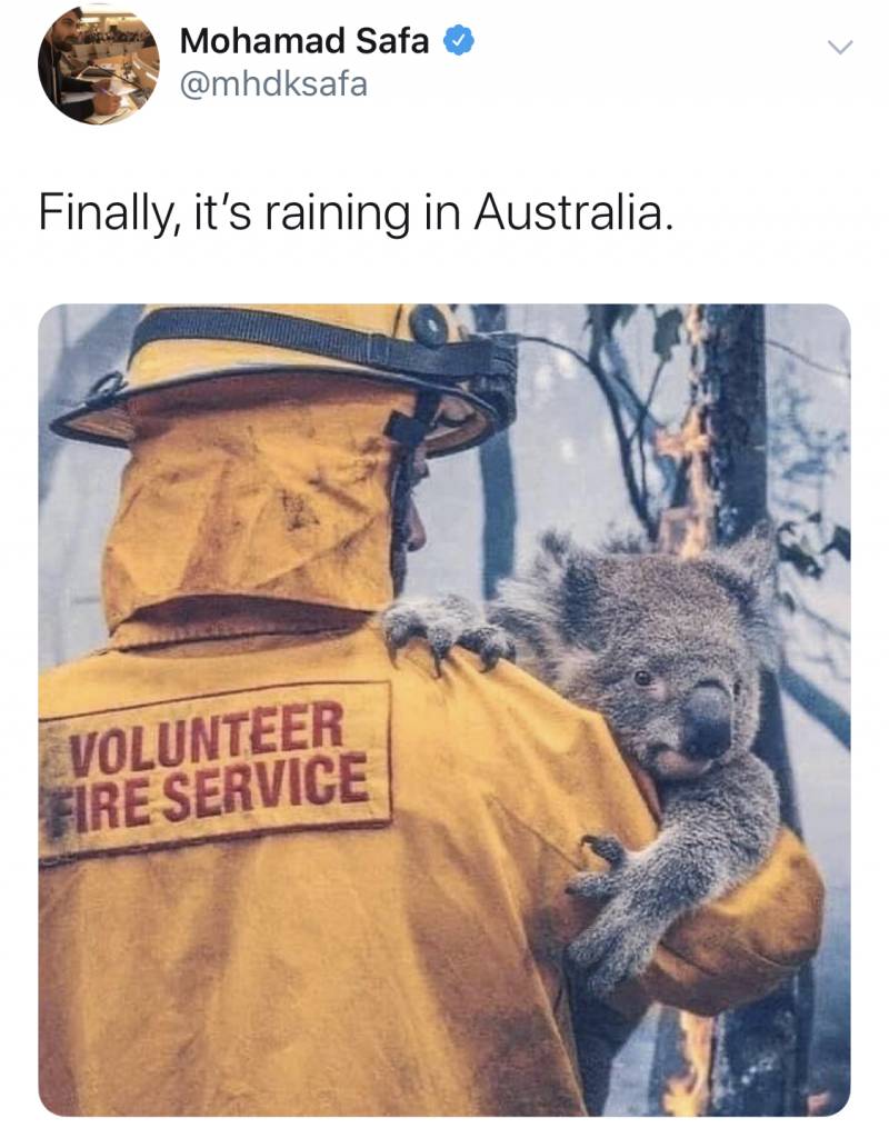 그래도 다행이다 호주 비와서 산불 꺼졌나봐 | 인스티즈