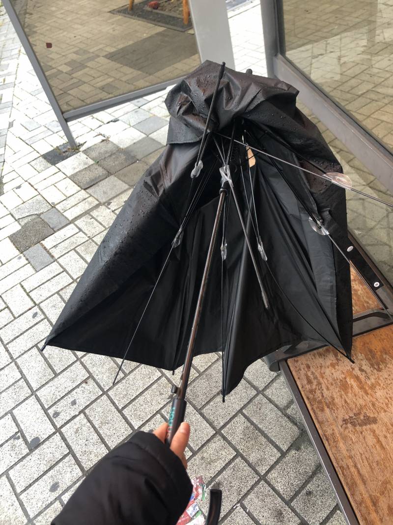 내 우산 능지처참됨 | 인스티즈