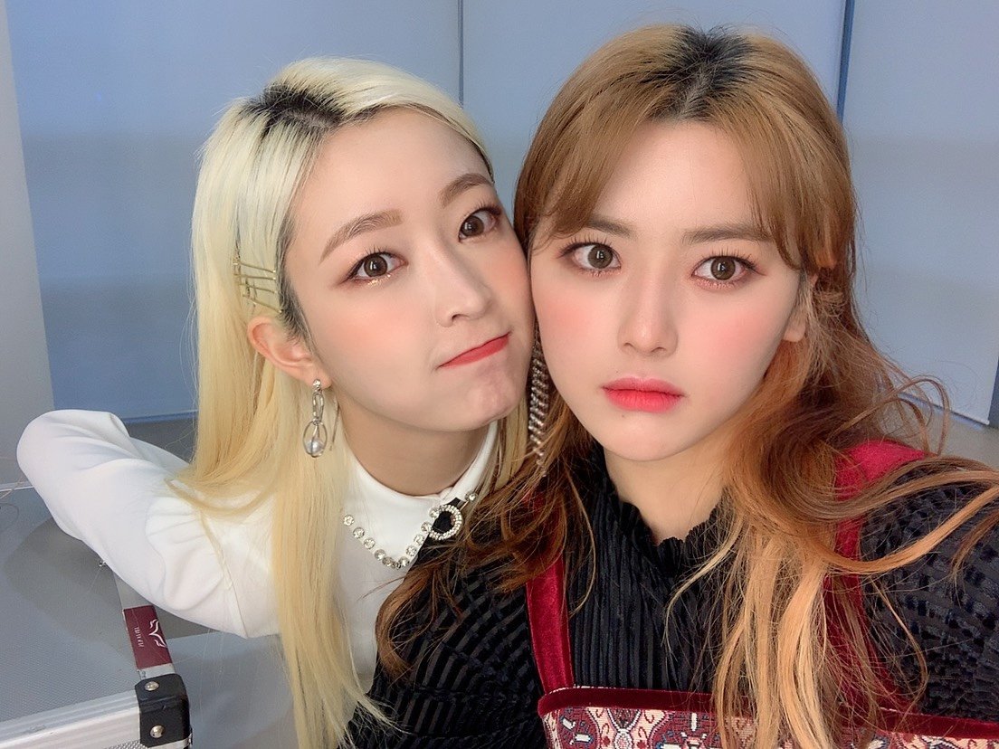 솔직히 말하는데 본진 | 인스티즈