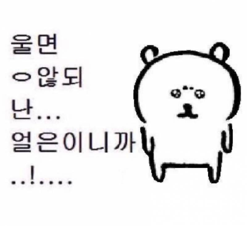 누런 색감 헤이터,,, 아이폰11 쓰면서 광광 운다,,, | 인스티즈