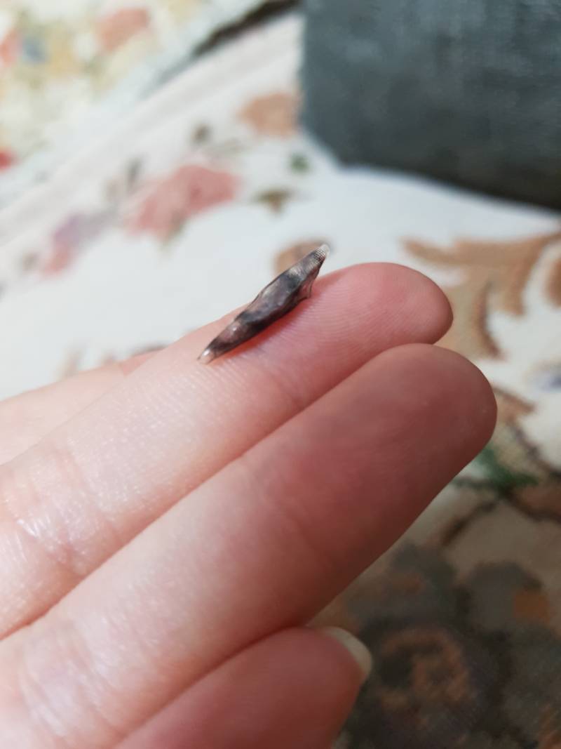 아낰ㅋㅋㅋ진짴ㅋㅋㅋ이불에서 박휘나온줄알고 식겁했는데 | 인스티즈