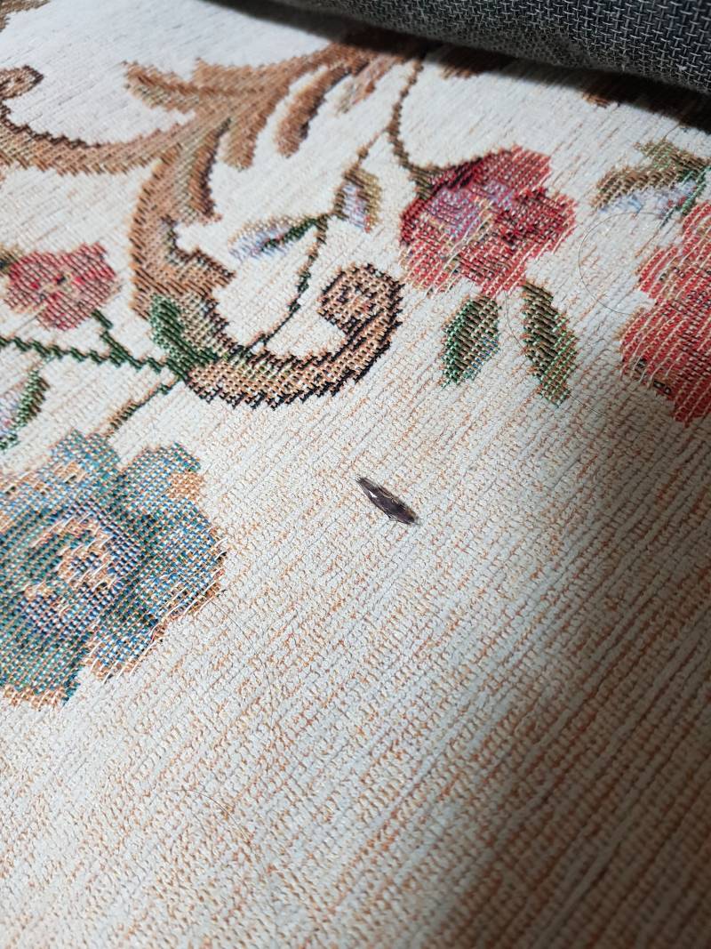 아낰ㅋㅋㅋ진짴ㅋㅋㅋ이불에서 박휘나온줄알고 식겁했는데 | 인스티즈