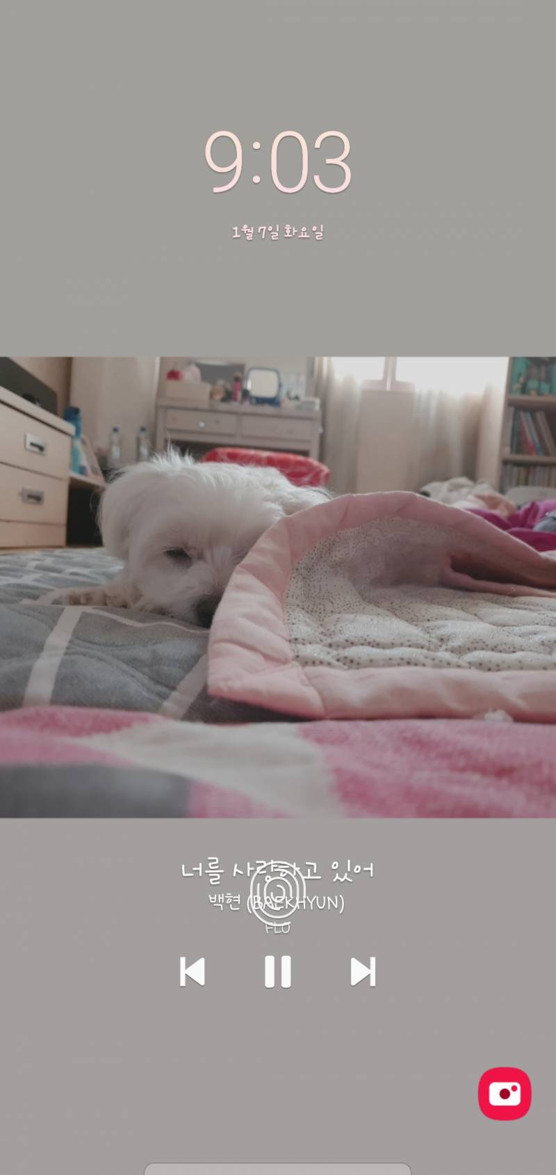 저 지문 어케없애..... 구려서 더이상 못봐주겟어... | 인스티즈