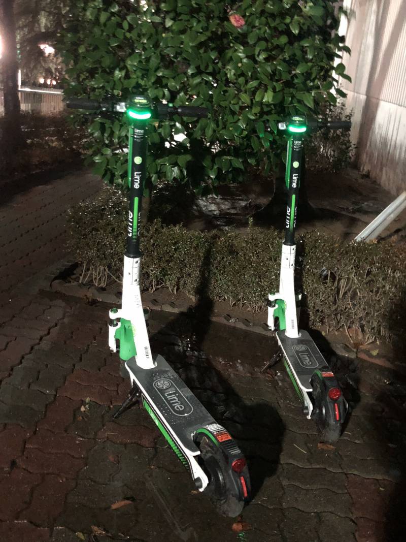 익들 지역에도 이거 많이 보여?? | 인스티즈