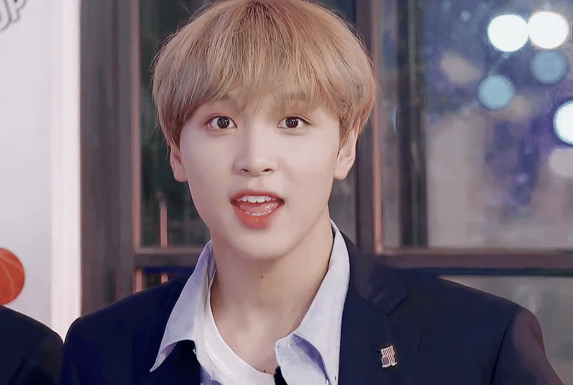 아웅 해프들 코코 지켜 | 인스티즈