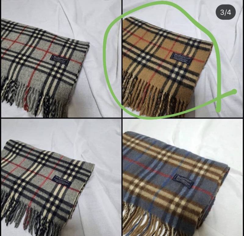 살말 봐주라 🥺🥺🥺🥺🥺🥺🥺 | 인스티즈