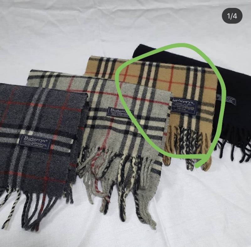 살말 봐주라 🥺🥺🥺🥺🥺🥺🥺 | 인스티즈