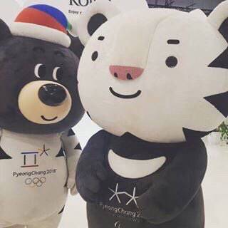 수호랑이랑 반다비도 공식적으로 나와줬으면 좋겠다 | 인스티즈