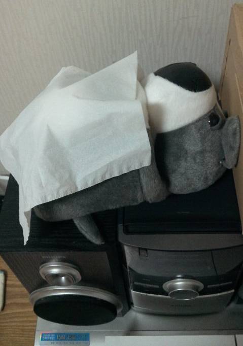 아ㅋㅋㅋㅋㅋ 맨날 인형 널부러져 있으면 엄마랑 아빠가 이불 덮어주고 감 | 인스티즈