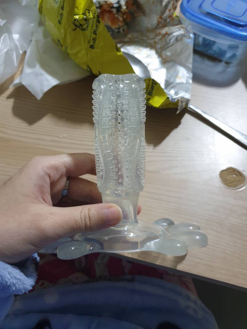 강아지거 샀는데 숭해... | 인스티즈