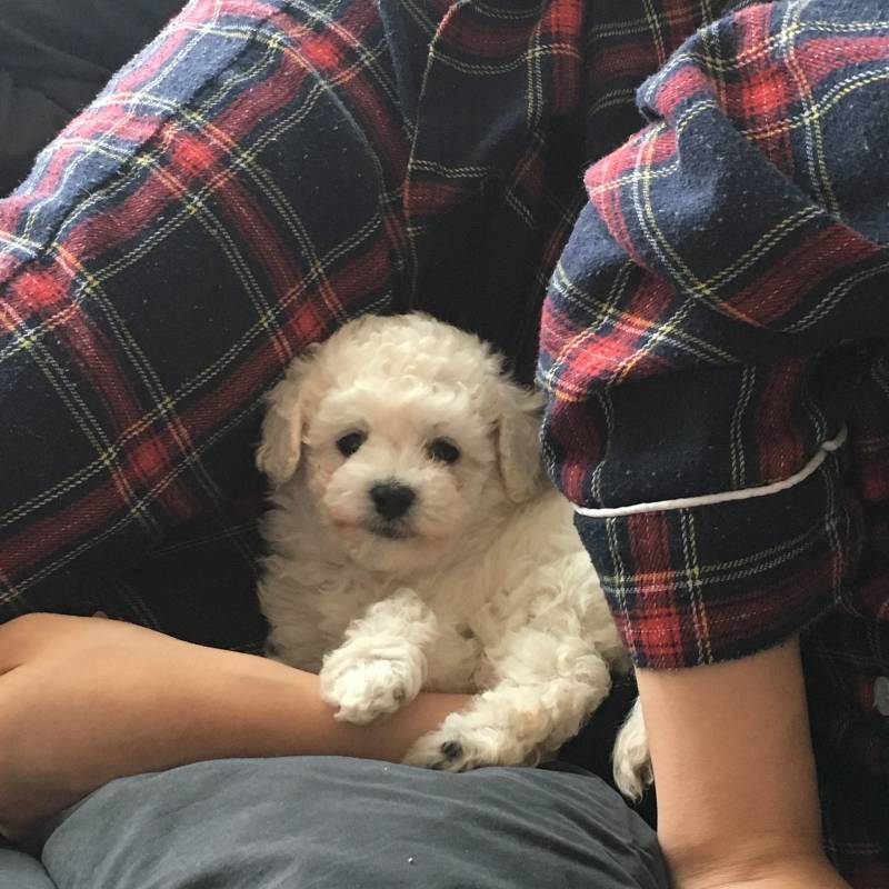 내 동생 보고가.. 40 | 인스티즈