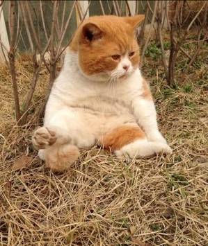 🍦누가 더 귀여운건지 6개월째 못고르는 중 | 인스티즈