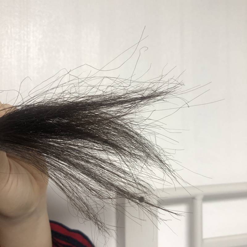 혹시 머리카락 잘 아는 익 있어? | 인스티즈