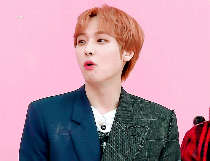 아기고양이 올려야지 | 인스티즈