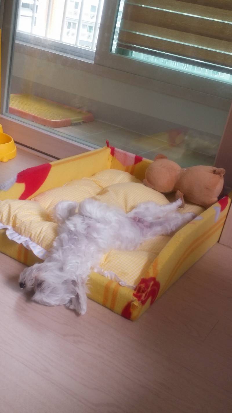 녹아내렸어 | 인스티즈