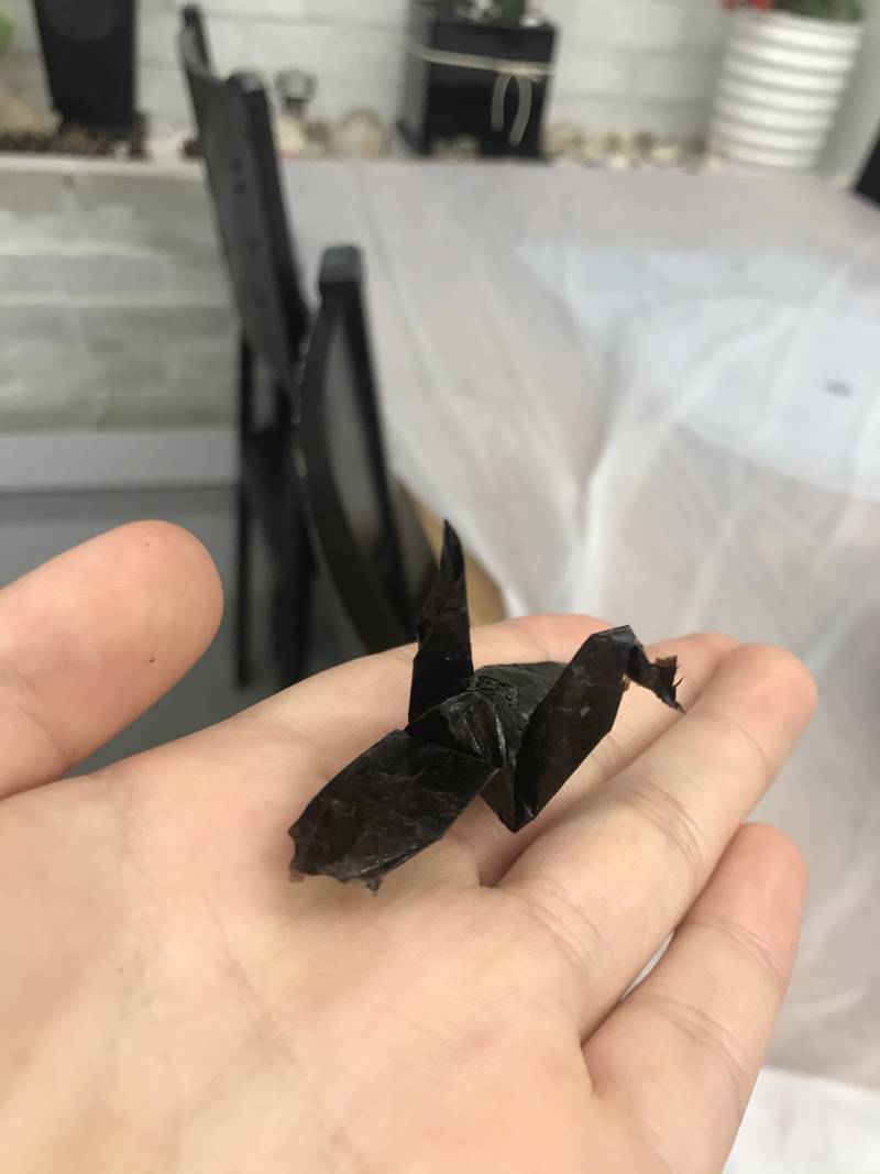 김으로 학 접음 | 인스티즈