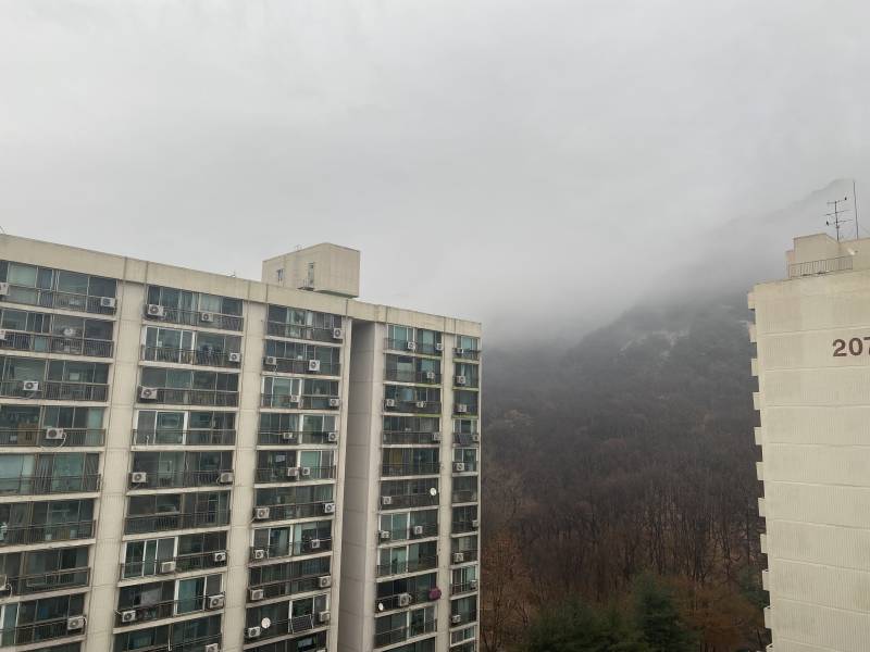 어제 우리집 뒤에 | 인스티즈