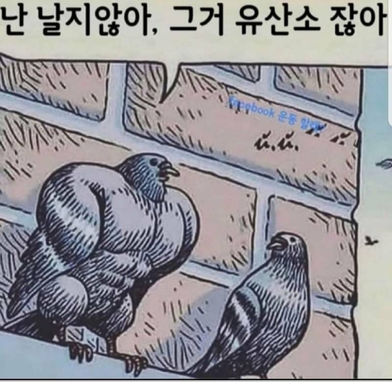 이거 카톡프사로 해놨는데 친구들한테 미쳤냐고 연락와 | 인스티즈