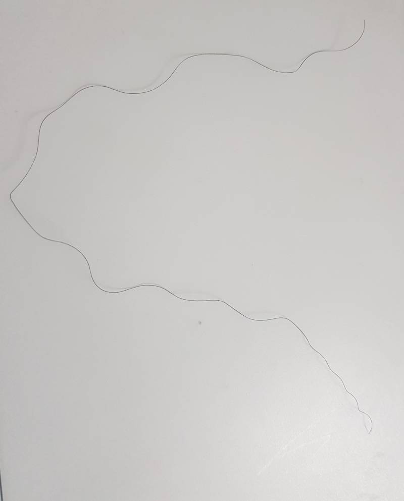 나만 이렇게 곱슬로 나는거 아니지....? | 인스티즈